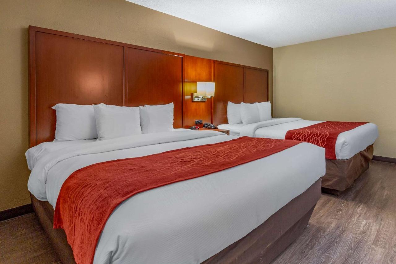 Comfort Inn Fort Mill Amusement Park At Carowinds Blvd Luaran gambar